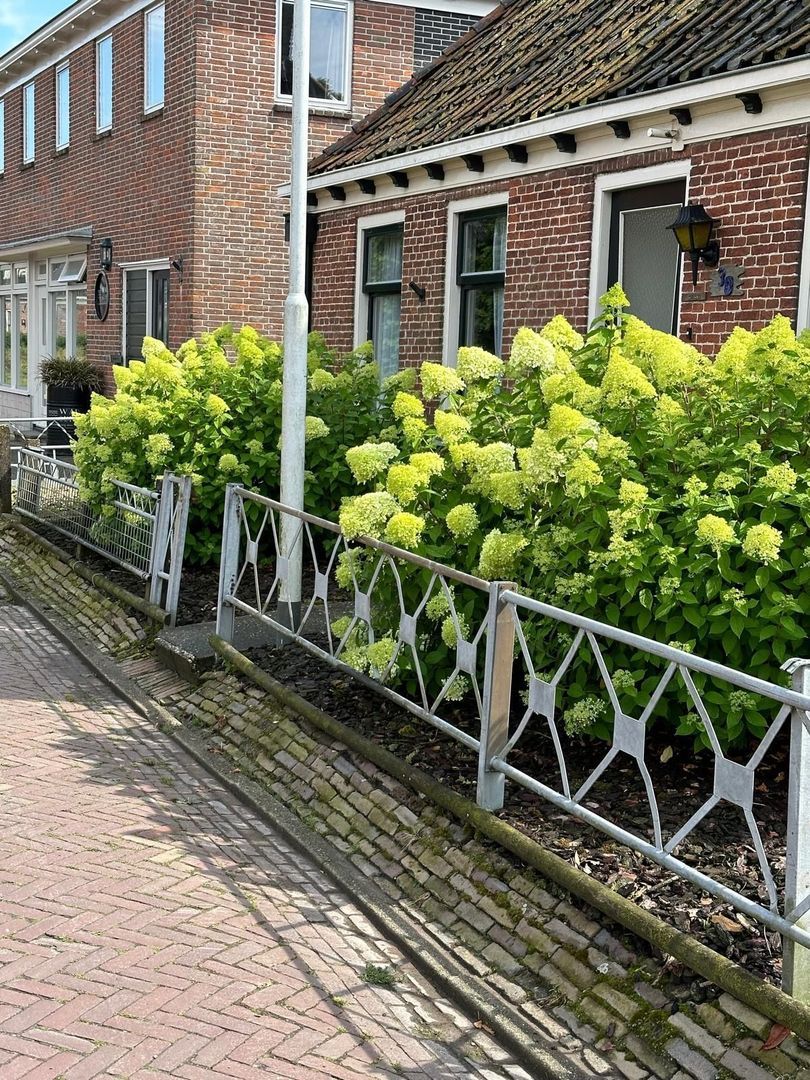 De Buorren 30, Peazens foto-36