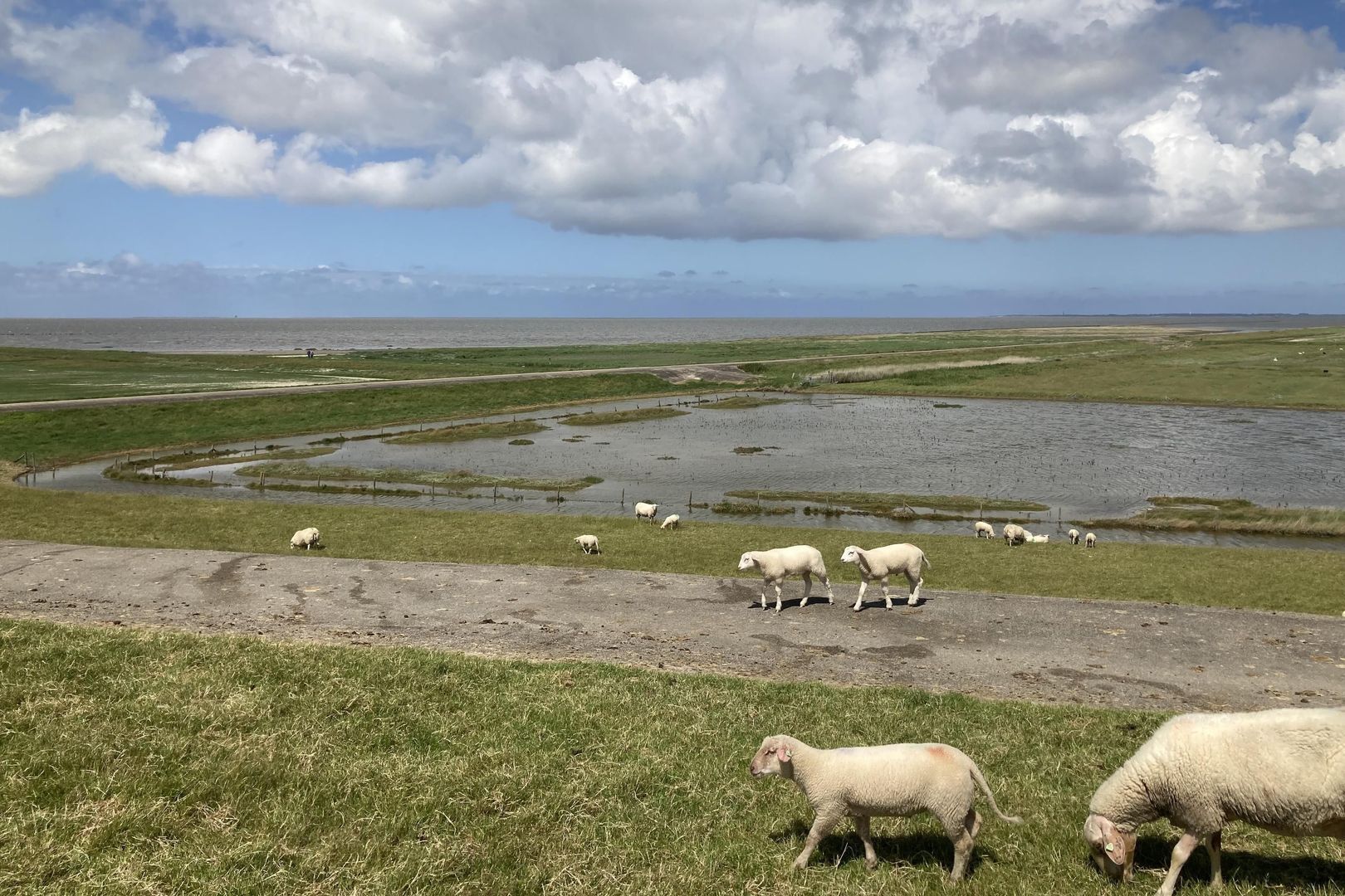 De Buorren 30, Peazens foto-48