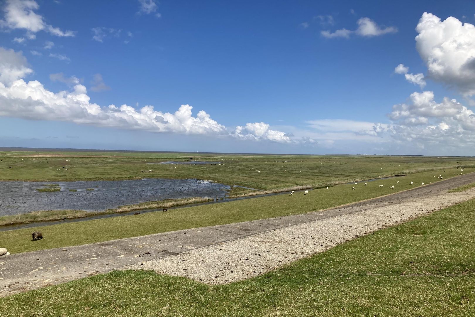 De Buorren 30, Peazens foto-49