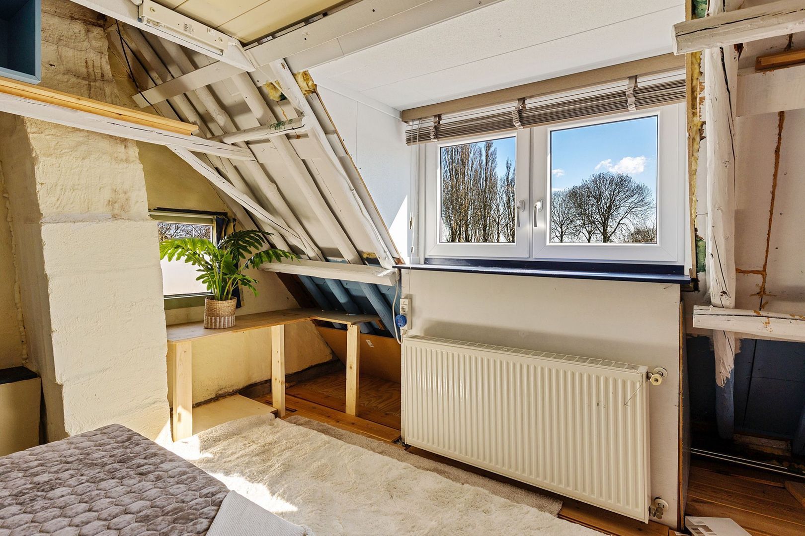 De Singel 24, Eanjum foto-24