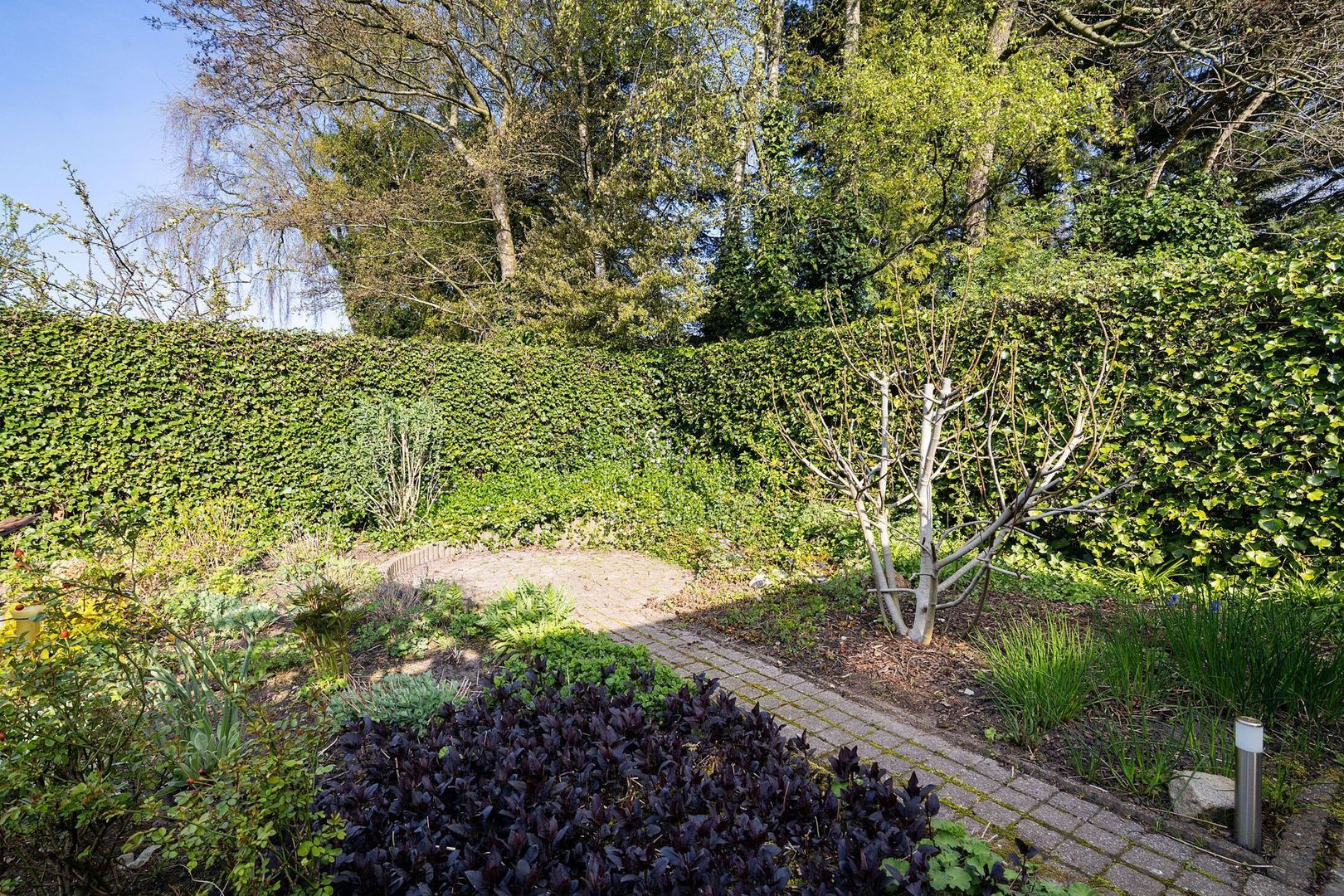 Burgemeester De Vriesstraat 11, Dokkum foto-30