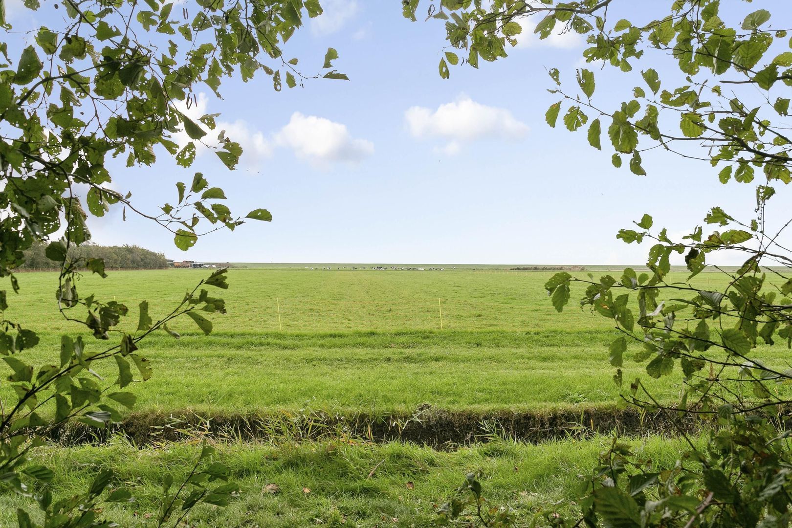 Rijspolder 46, Schiermonnikoog foto-4