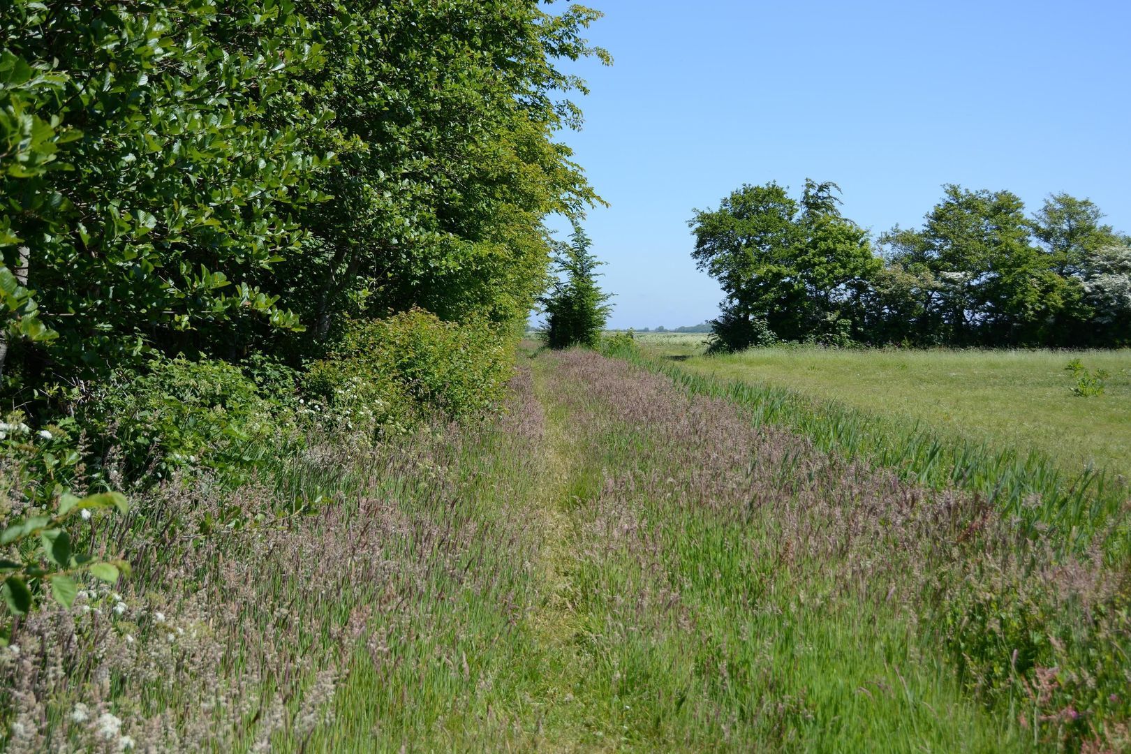Rijspolder 46, Schiermonnikoog foto-28