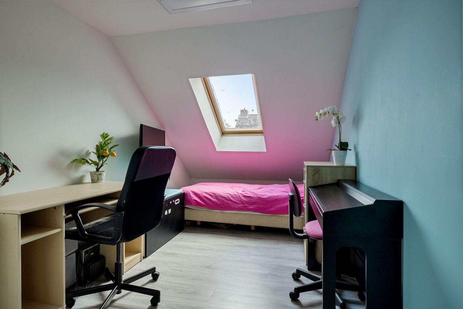 Sinteblom 4, Schiermonnikoog foto-18