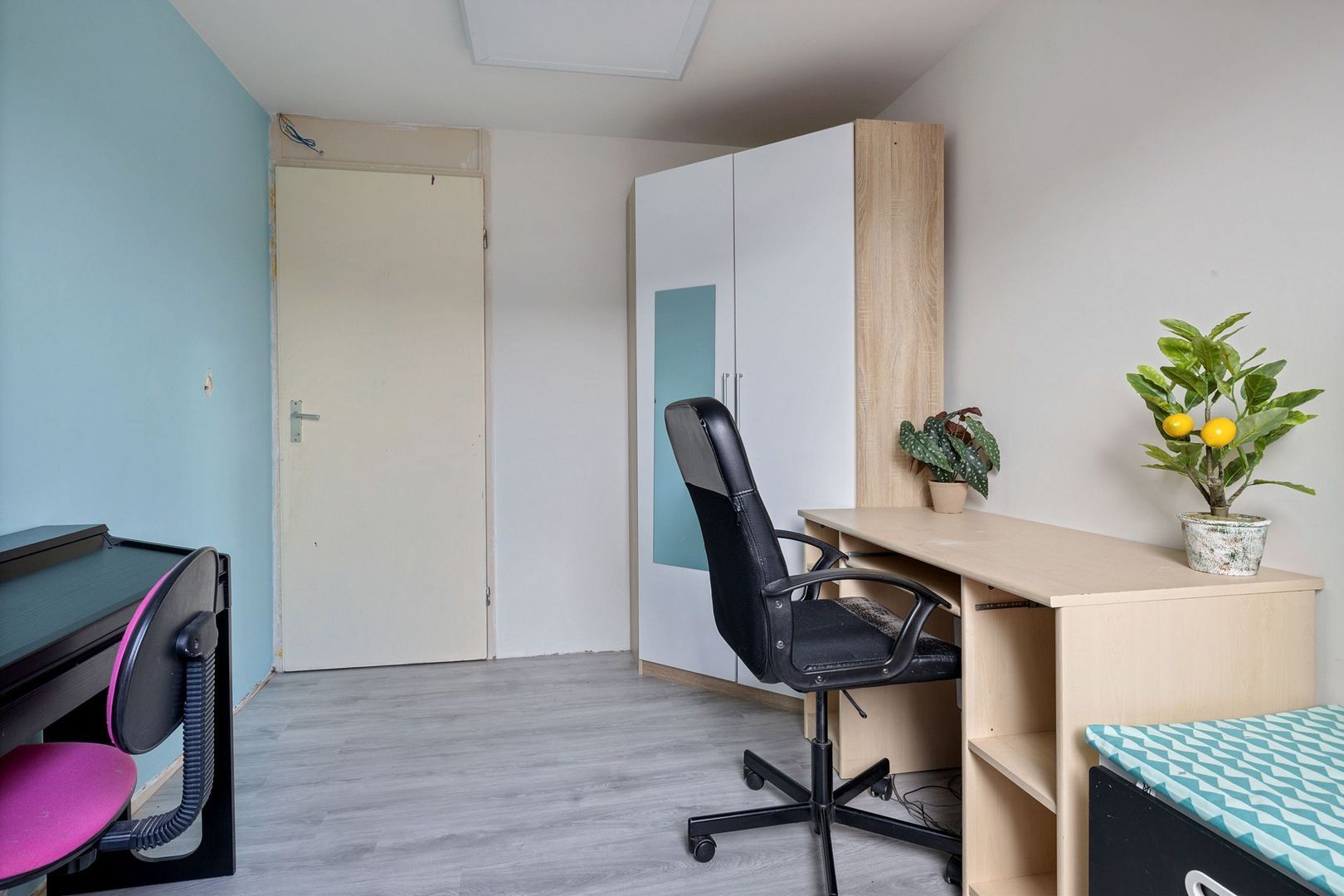 Sinteblom 4, Schiermonnikoog foto-19