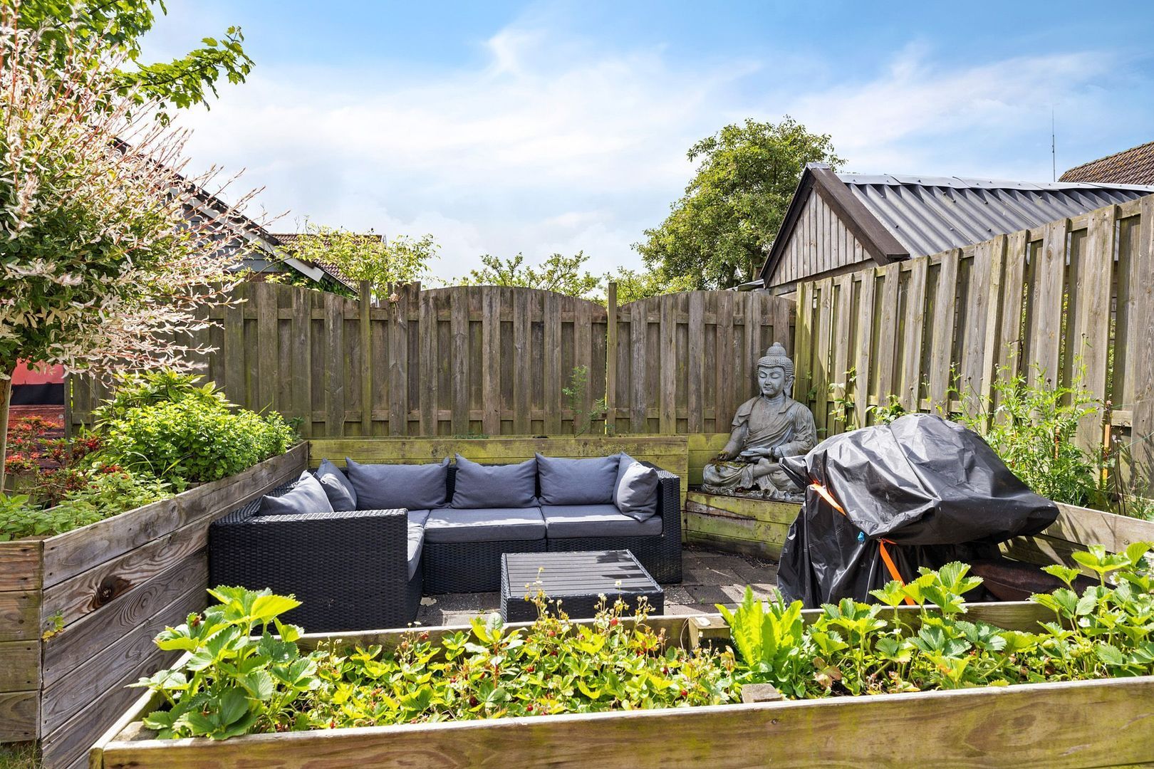 Sinteblom 4, Schiermonnikoog foto-30