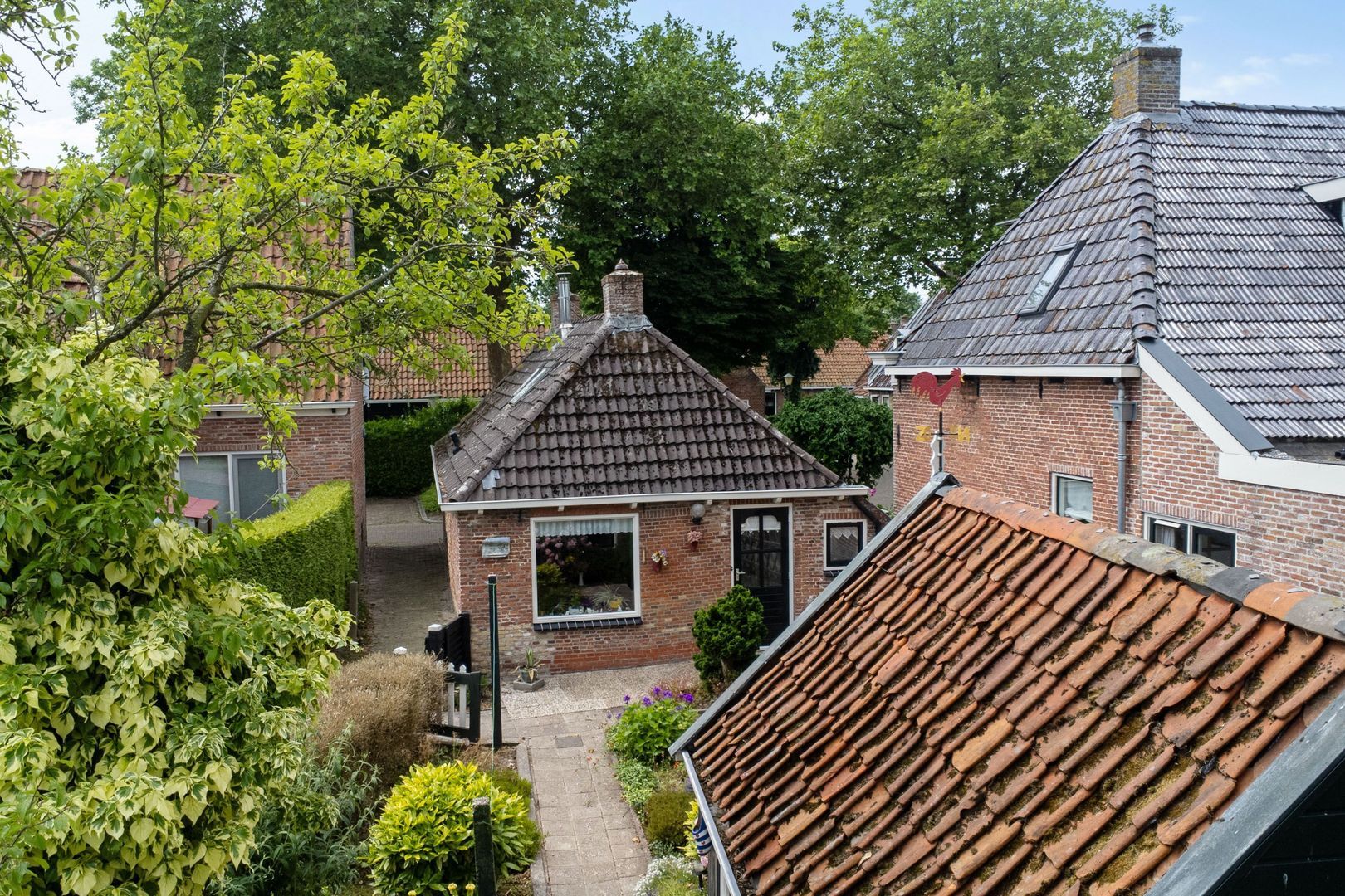 Lytse Loane 12, Ie foto-19