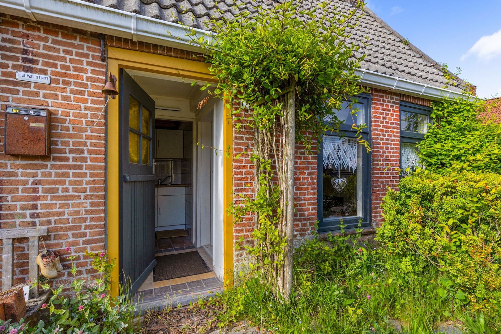 Eastein 0 ong, Peazens foto-3