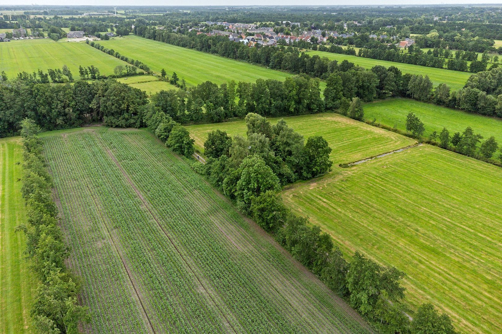 Achterwei 9, Wâlterswâld foto-21