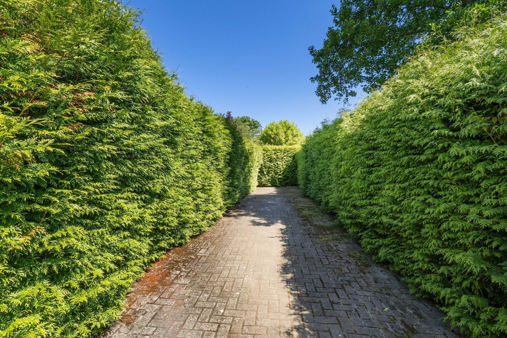 Douwelaan 74, Oentsjerk foto-31