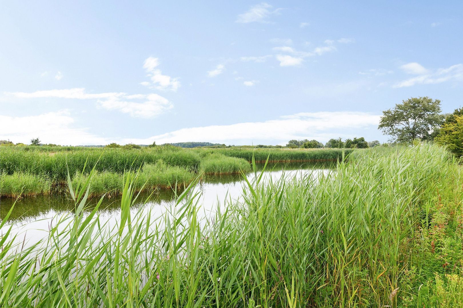 De Rug 3 81, Lauwersoog foto-3