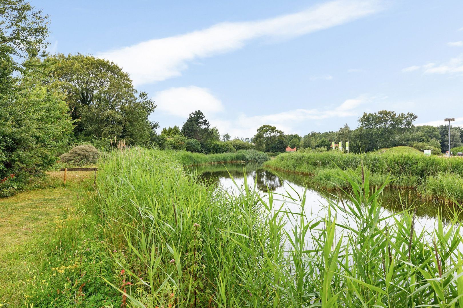 De Rug 3 81, Lauwersoog foto-19