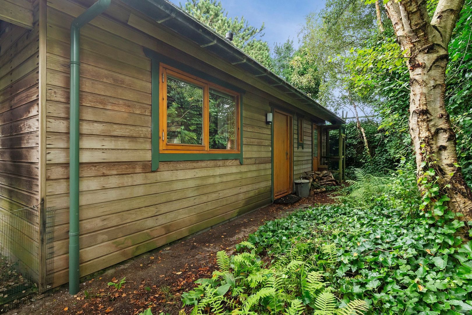 Vuurtorenpad 12 A, Schiermonnikoog foto-4