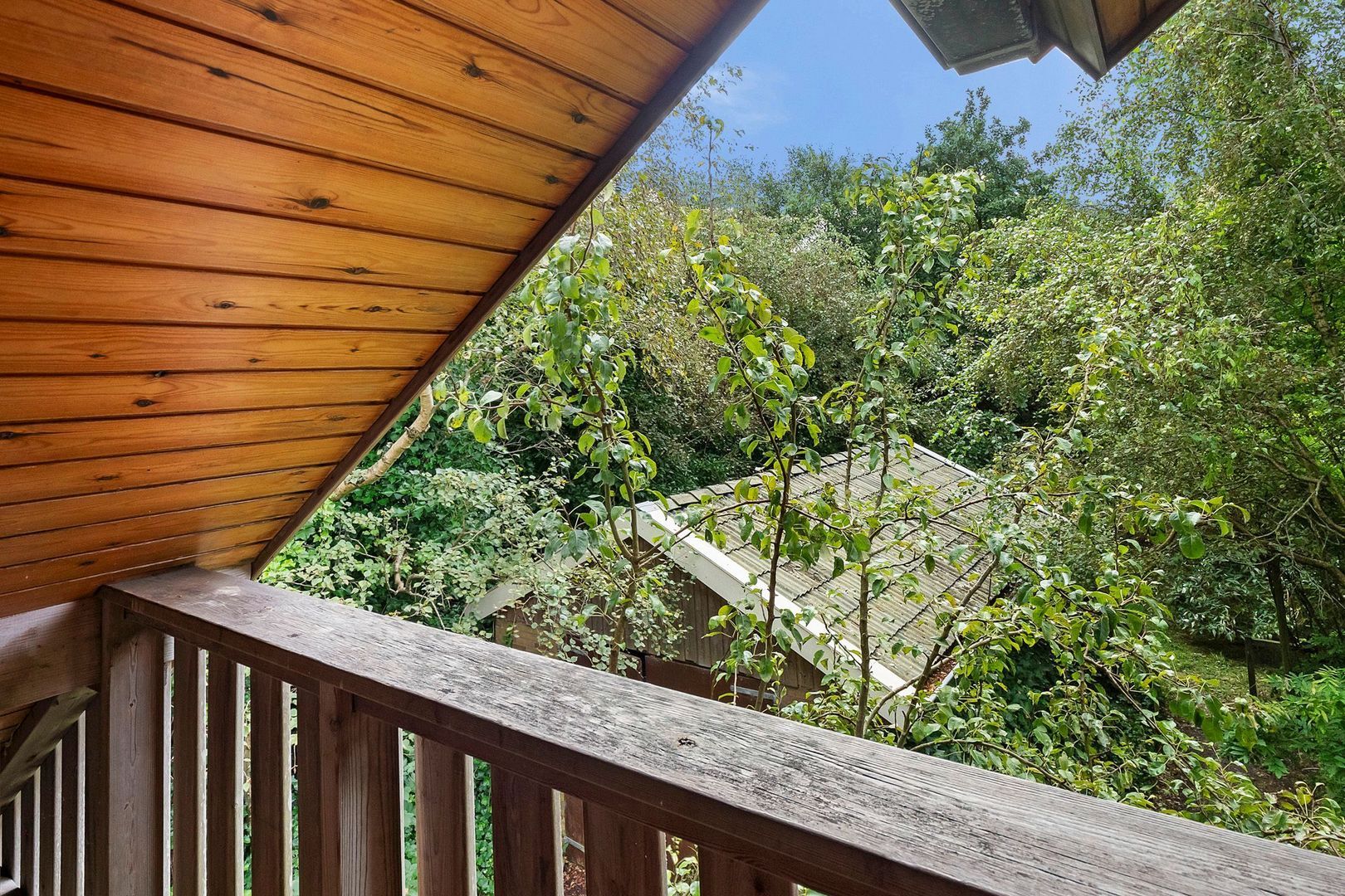 Vuurtorenpad 12 A, Schiermonnikoog foto-26