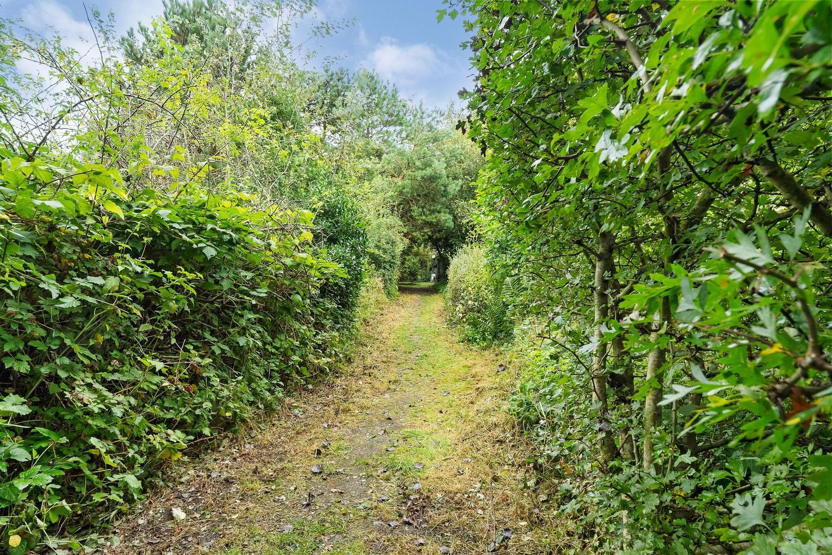 Vuurtorenpad 12 A, Schiermonnikoog foto-29