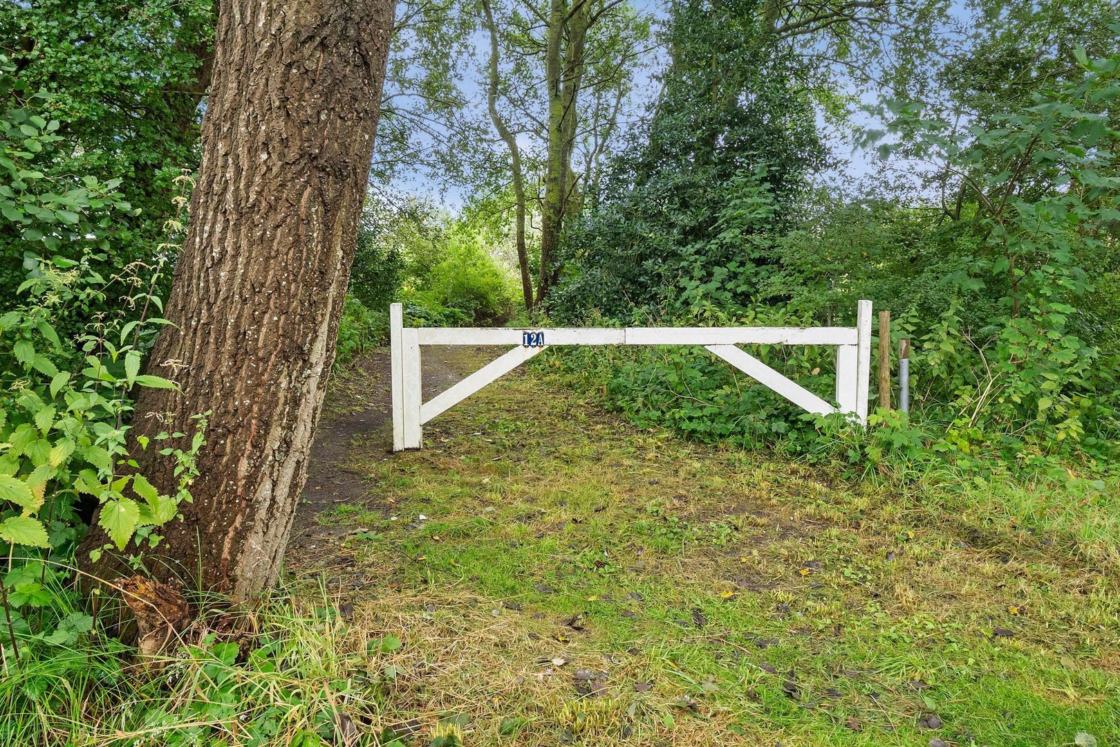 Vuurtorenpad 12 A, Schiermonnikoog foto-30