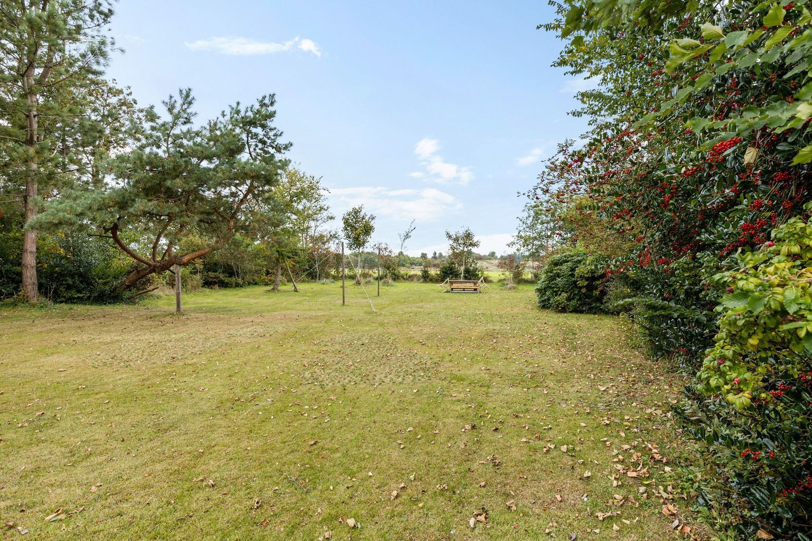 Rijspolder 116, Schiermonnikoog foto-23