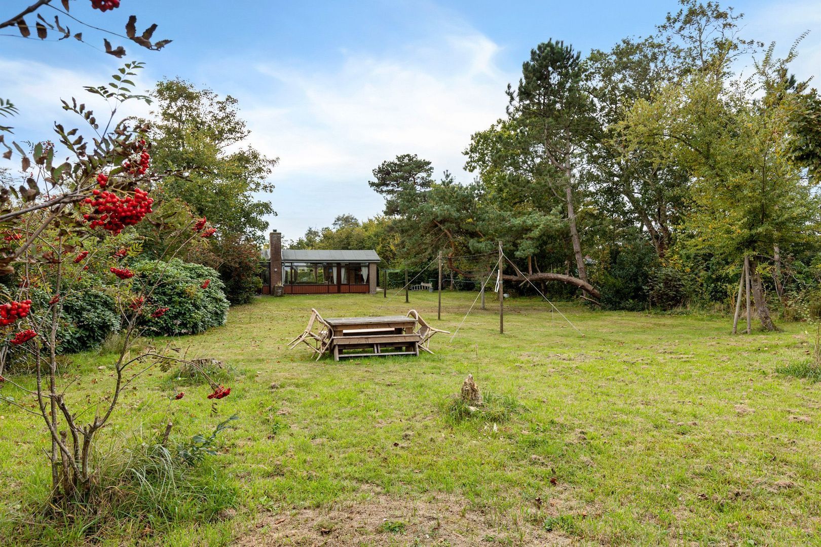 Rijspolder 116, Schiermonnikoog foto-25