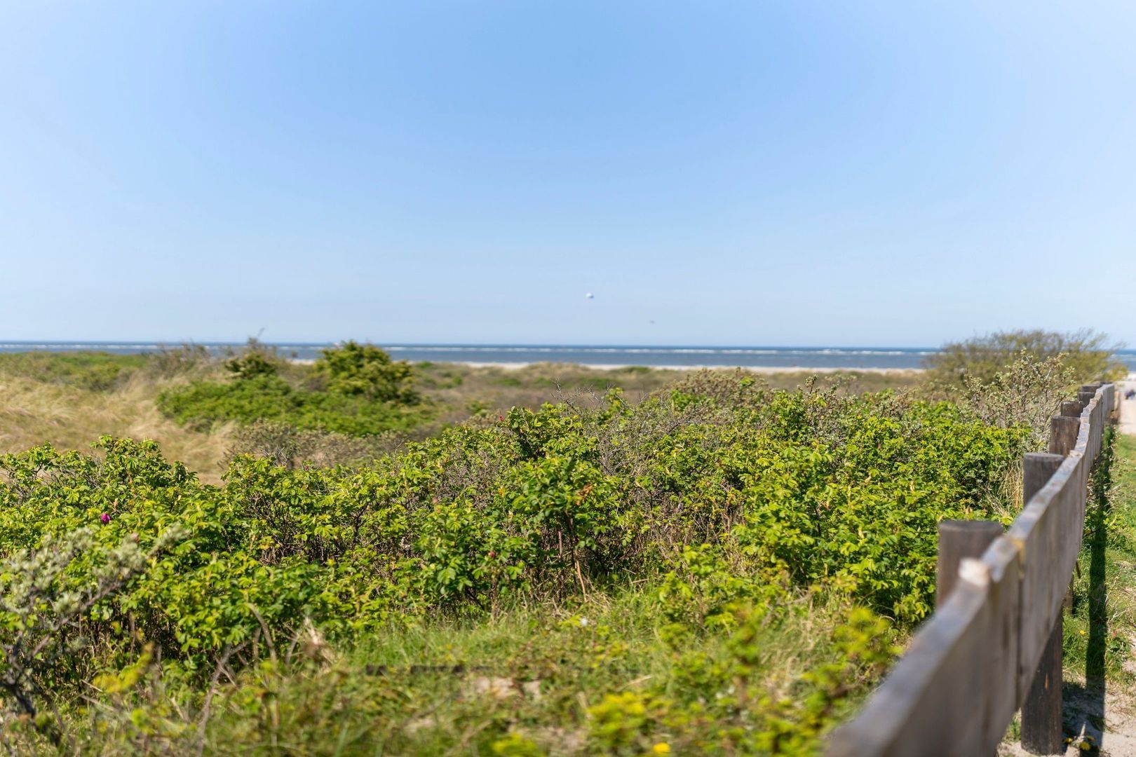 Badweg 68, Schiermonnikoog foto-30
