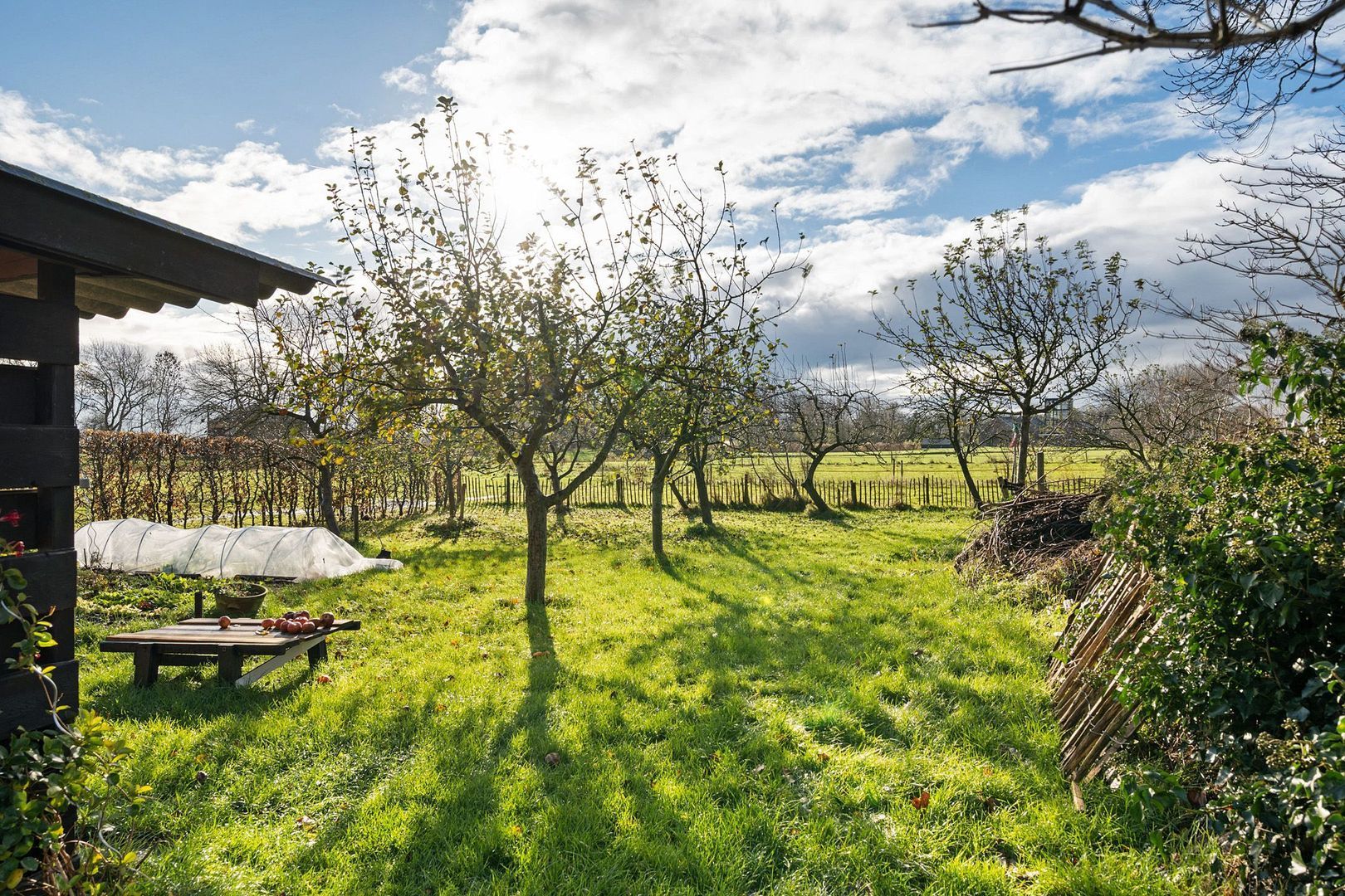 Garewei 1, Ljussens foto-44