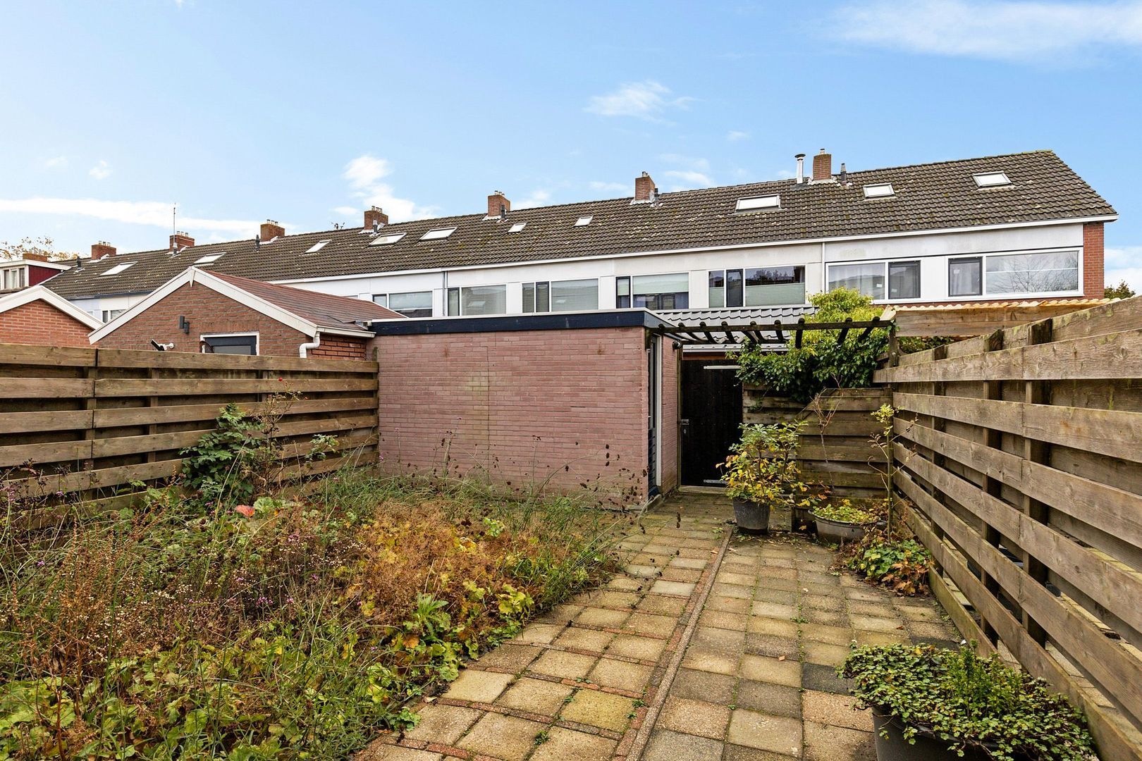 Rietgans 4, Dokkum foto-1