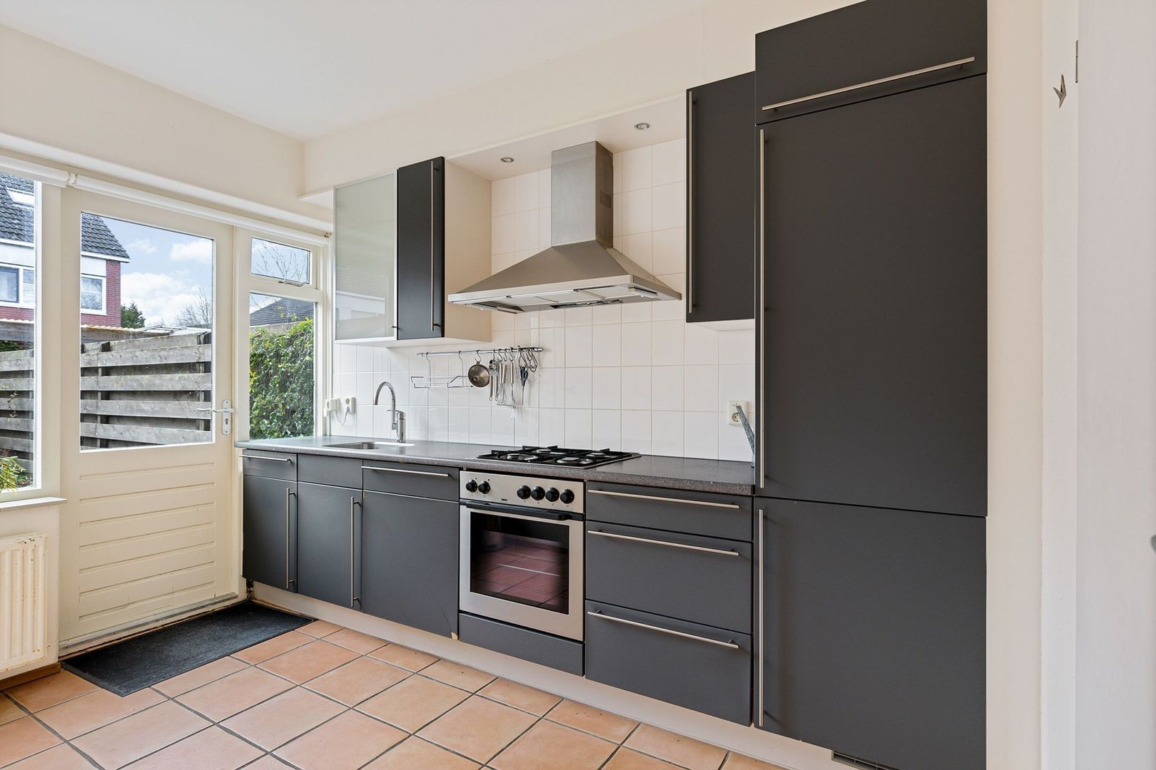 Rietgans 4, Dokkum foto-3