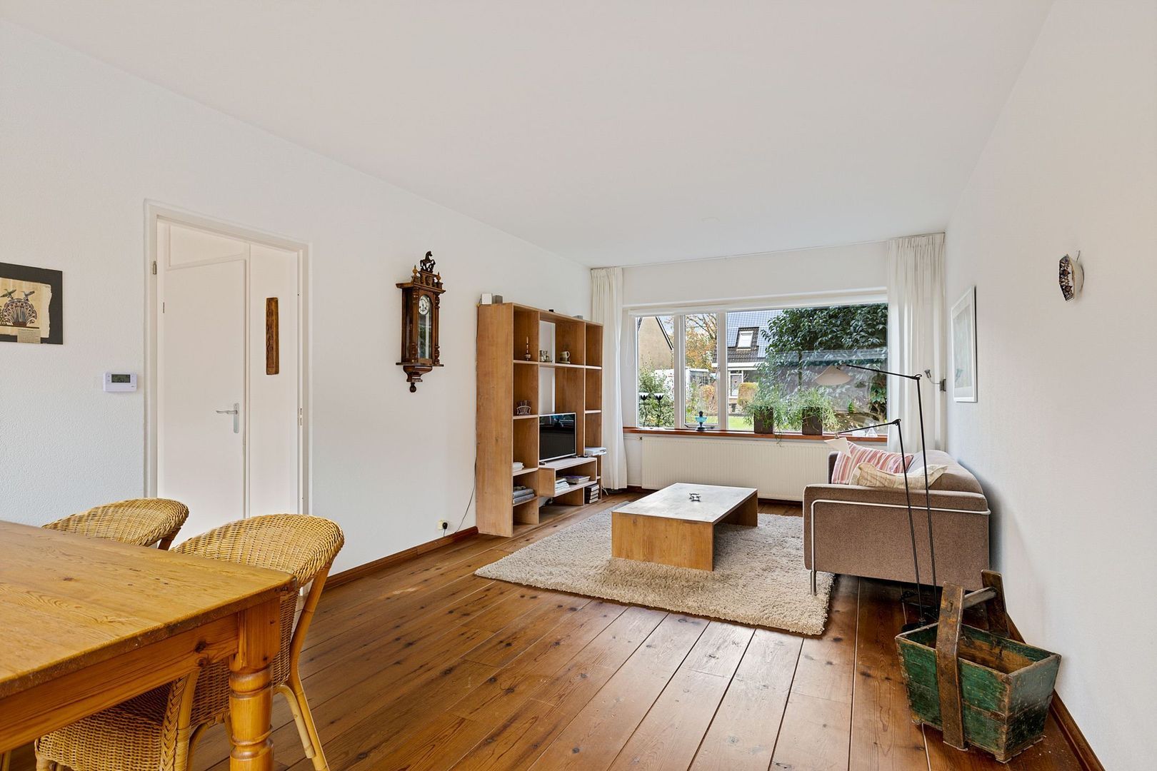 Rietgans 4, Dokkum foto-2