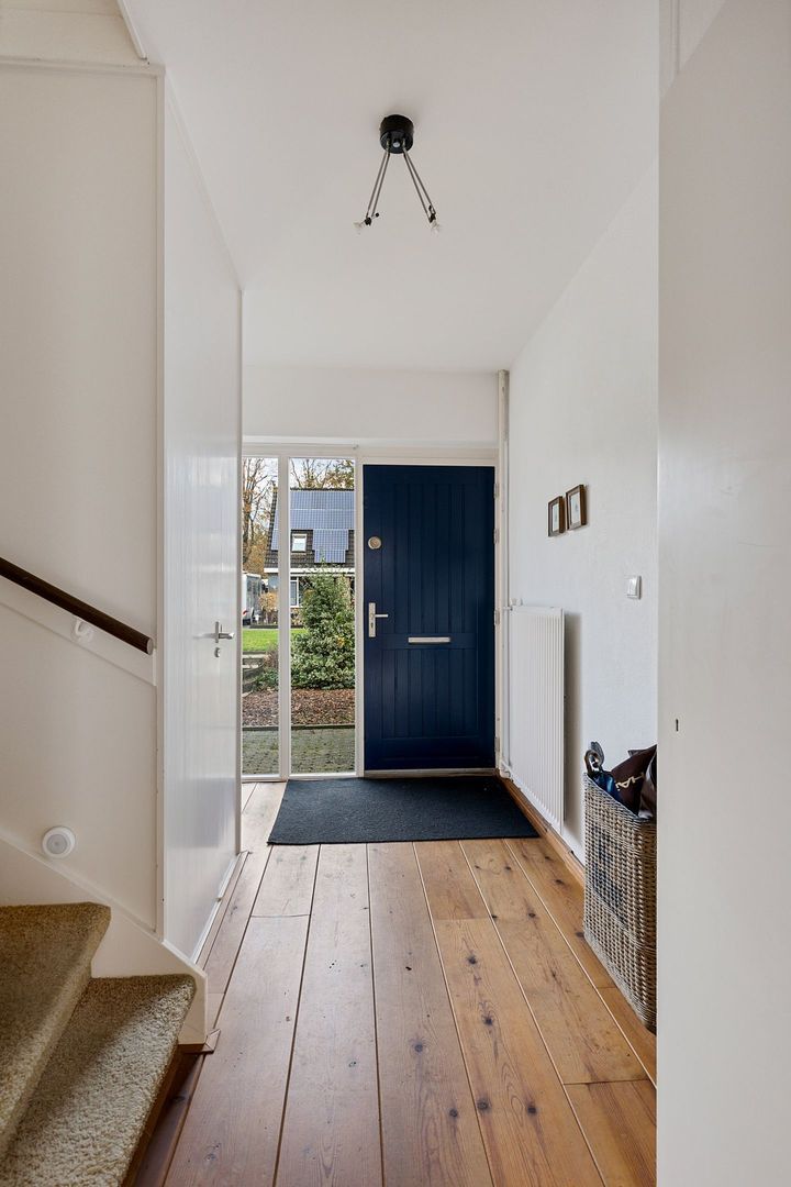 Rietgans 4, Dokkum foto-5