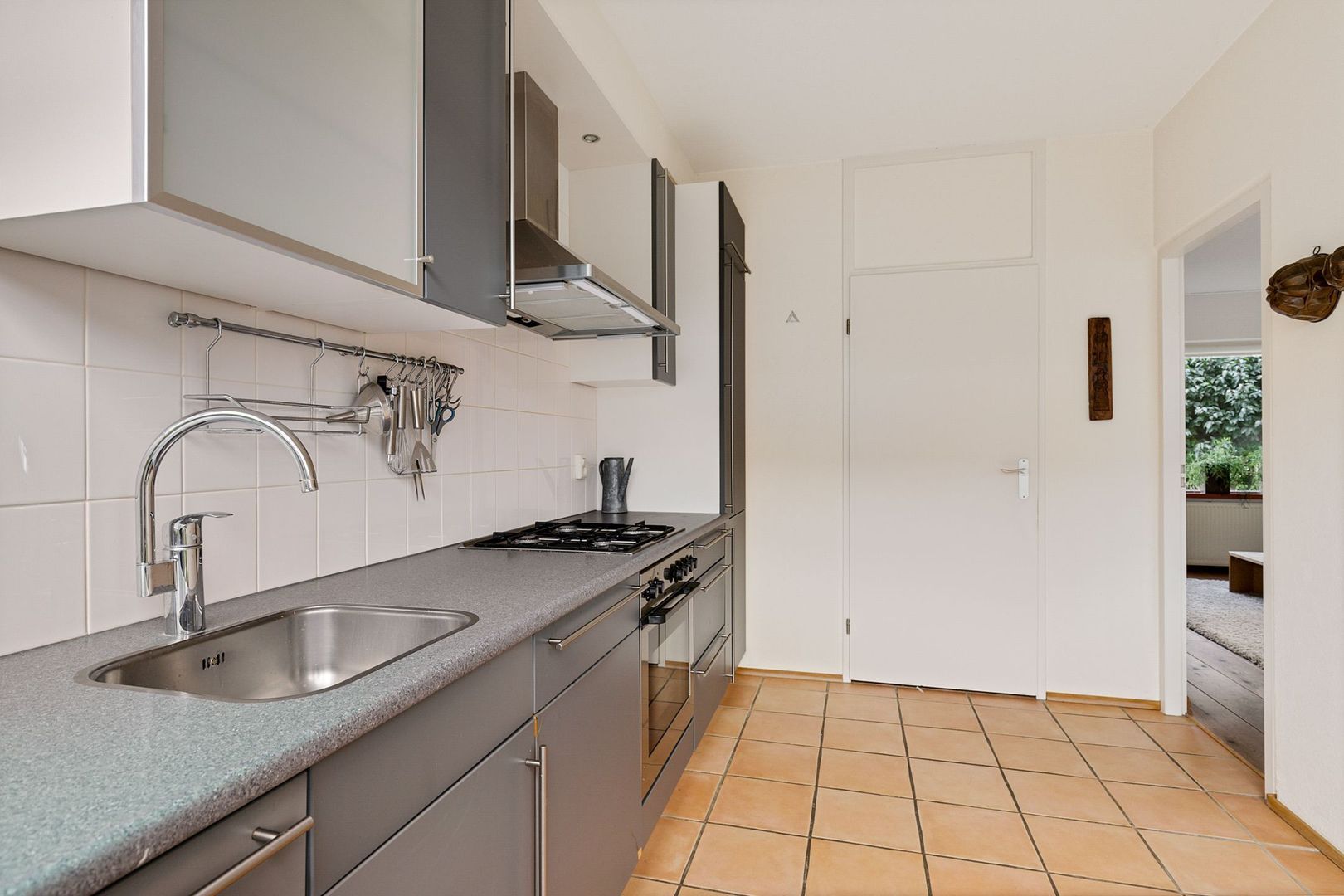 Rietgans 4, Dokkum foto-9