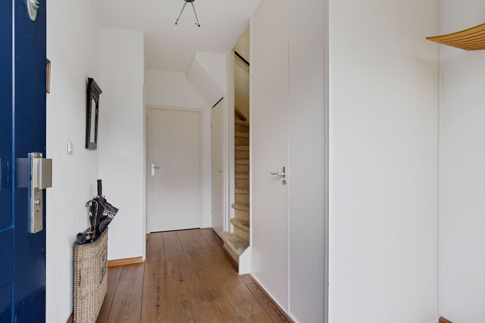 Rietgans 4, Dokkum foto-11