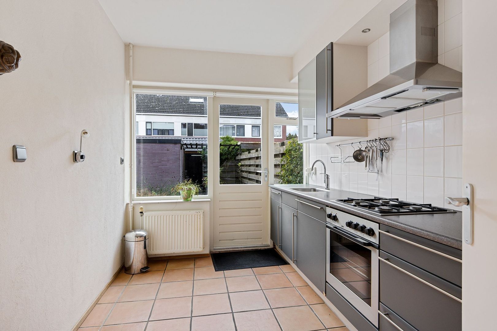 Rietgans 4, Dokkum foto-10