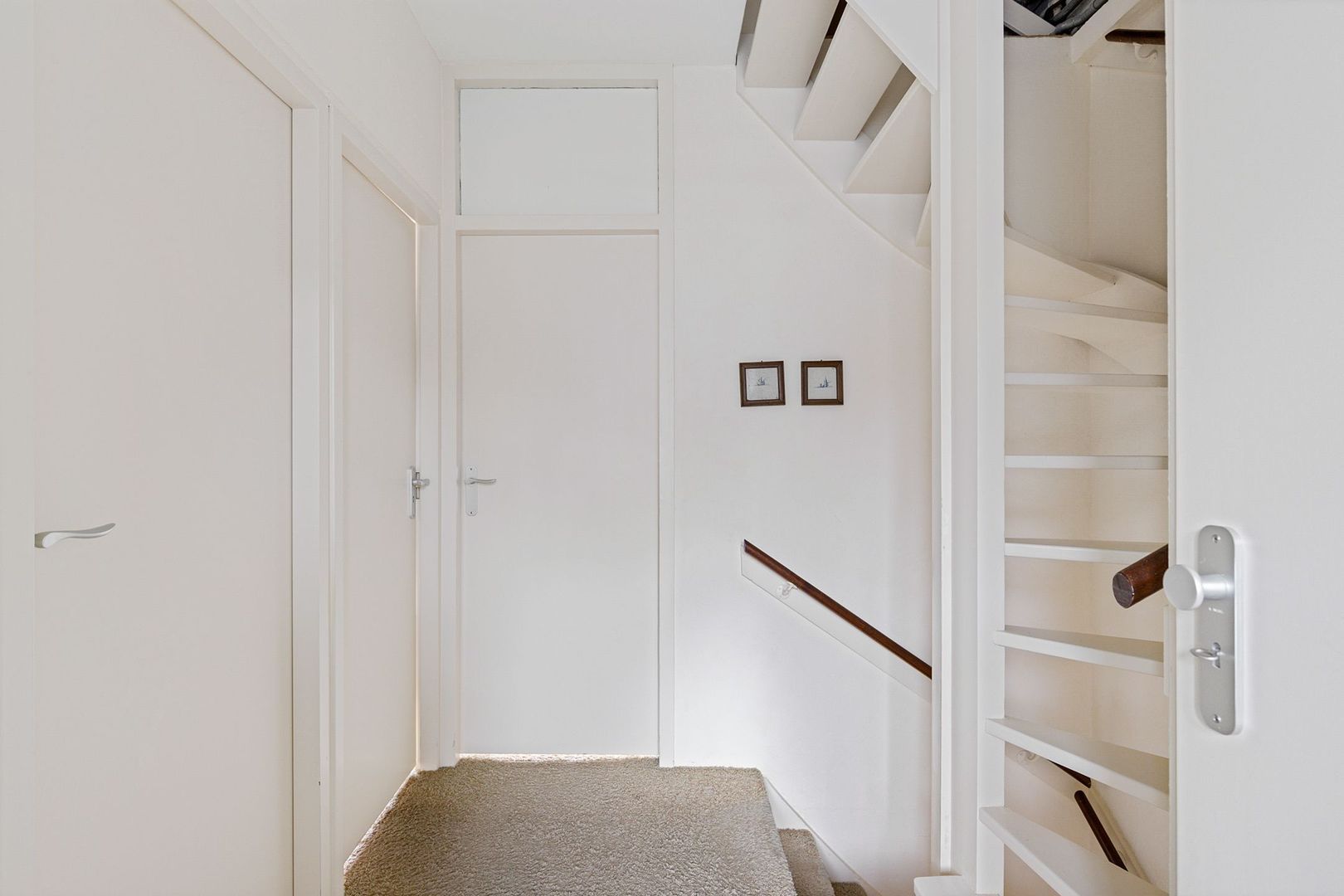 Rietgans 4, Dokkum foto-12