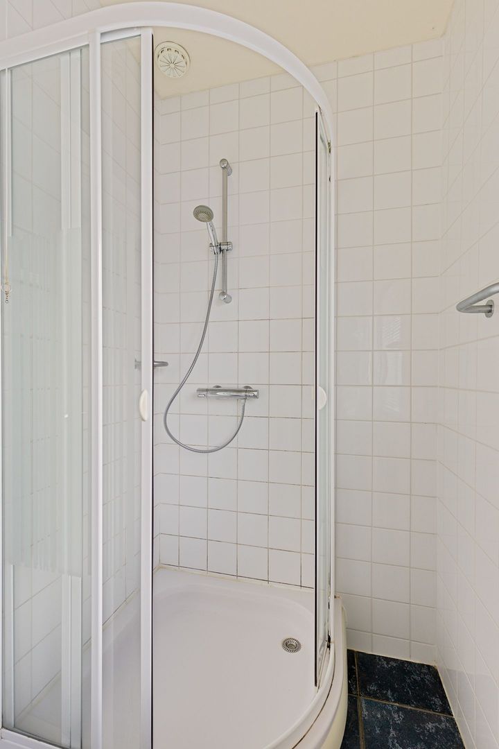 Rietgans 4, Dokkum foto-16