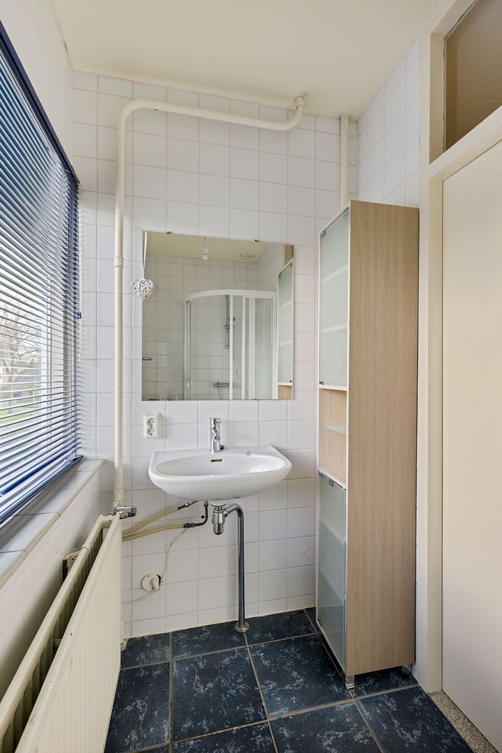 Rietgans 4, Dokkum foto-15