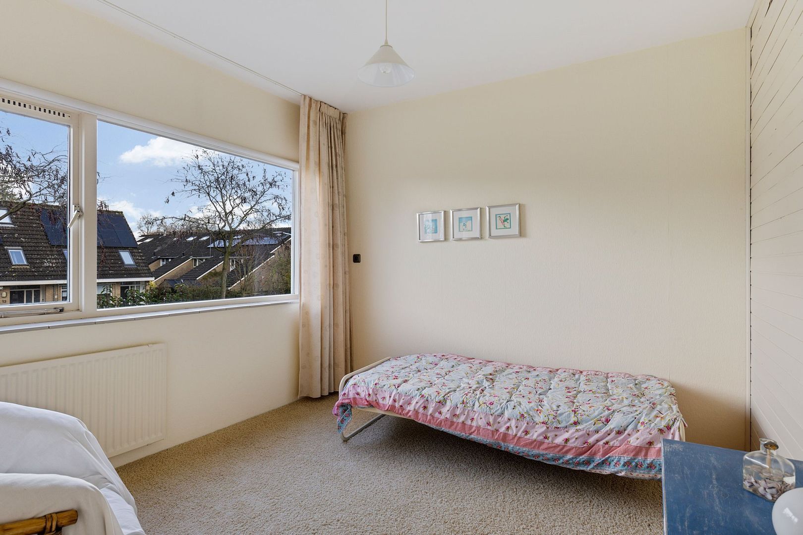 Rietgans 4, Dokkum foto-17