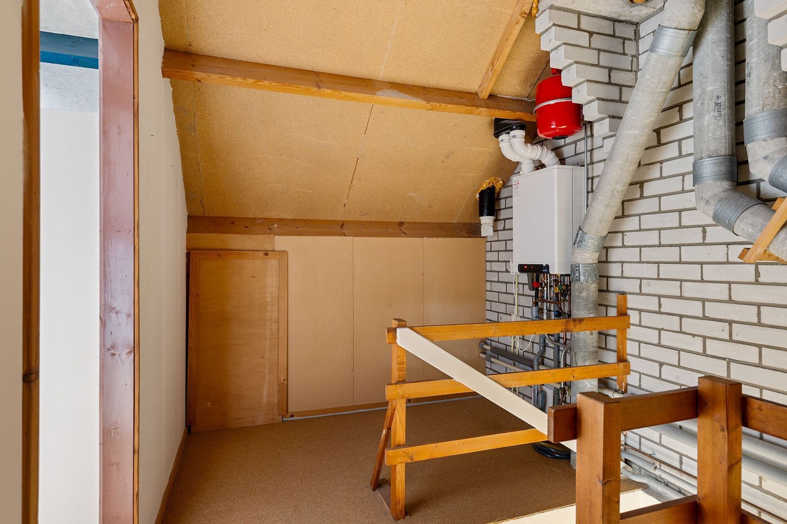 Rietgans 4, Dokkum foto-20