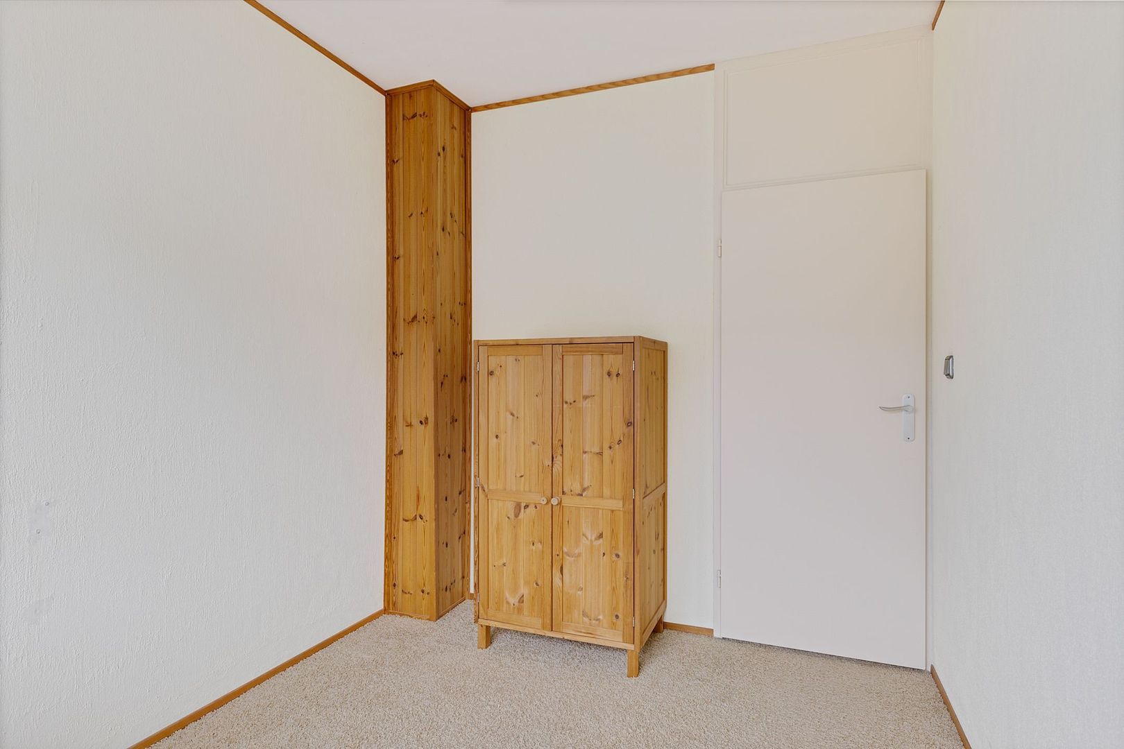 Rietgans 4, Dokkum foto-19