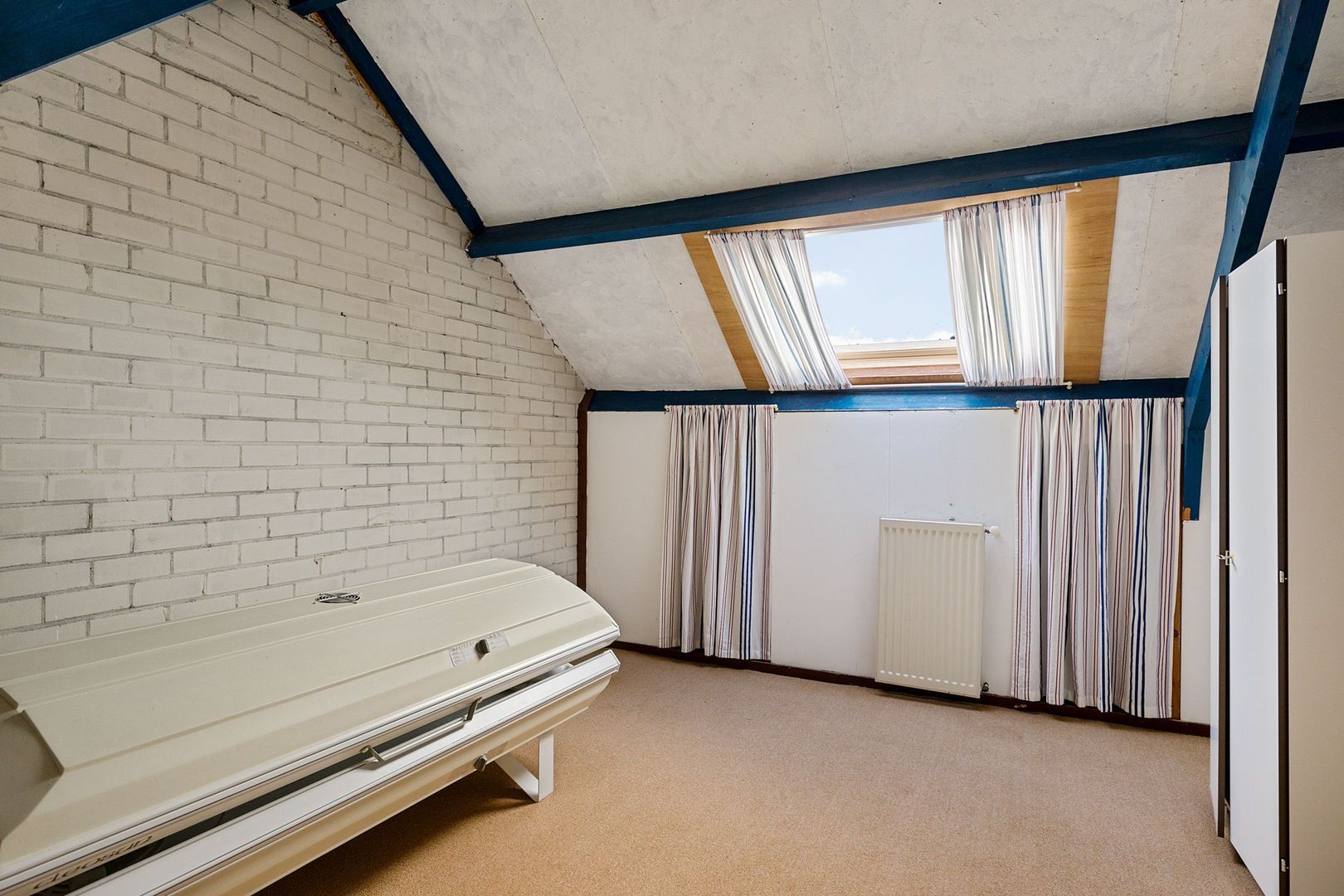 Rietgans 4, Dokkum foto-22