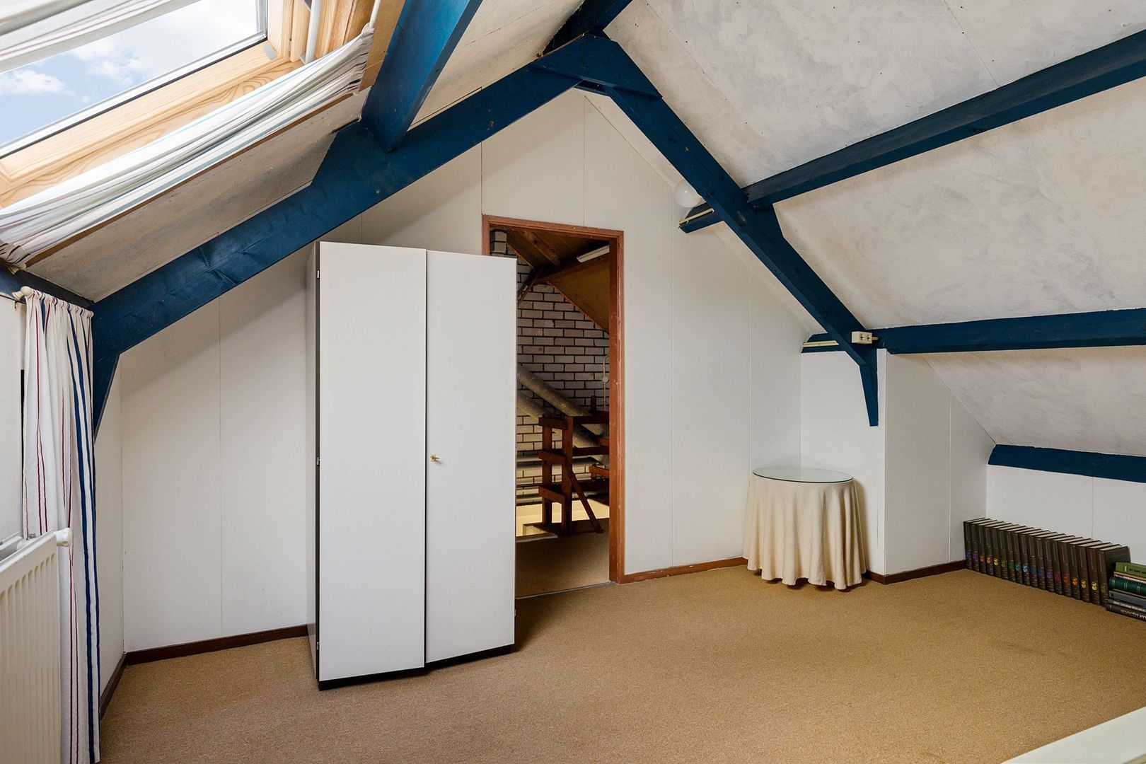 Rietgans 4, Dokkum foto-21