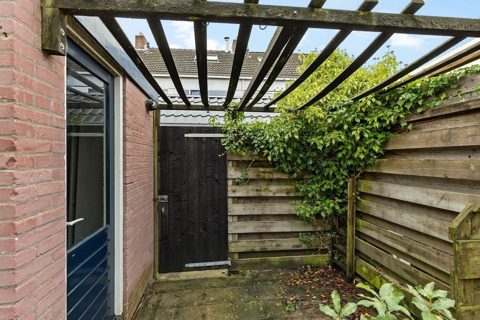 Rietgans 4, Dokkum foto-24