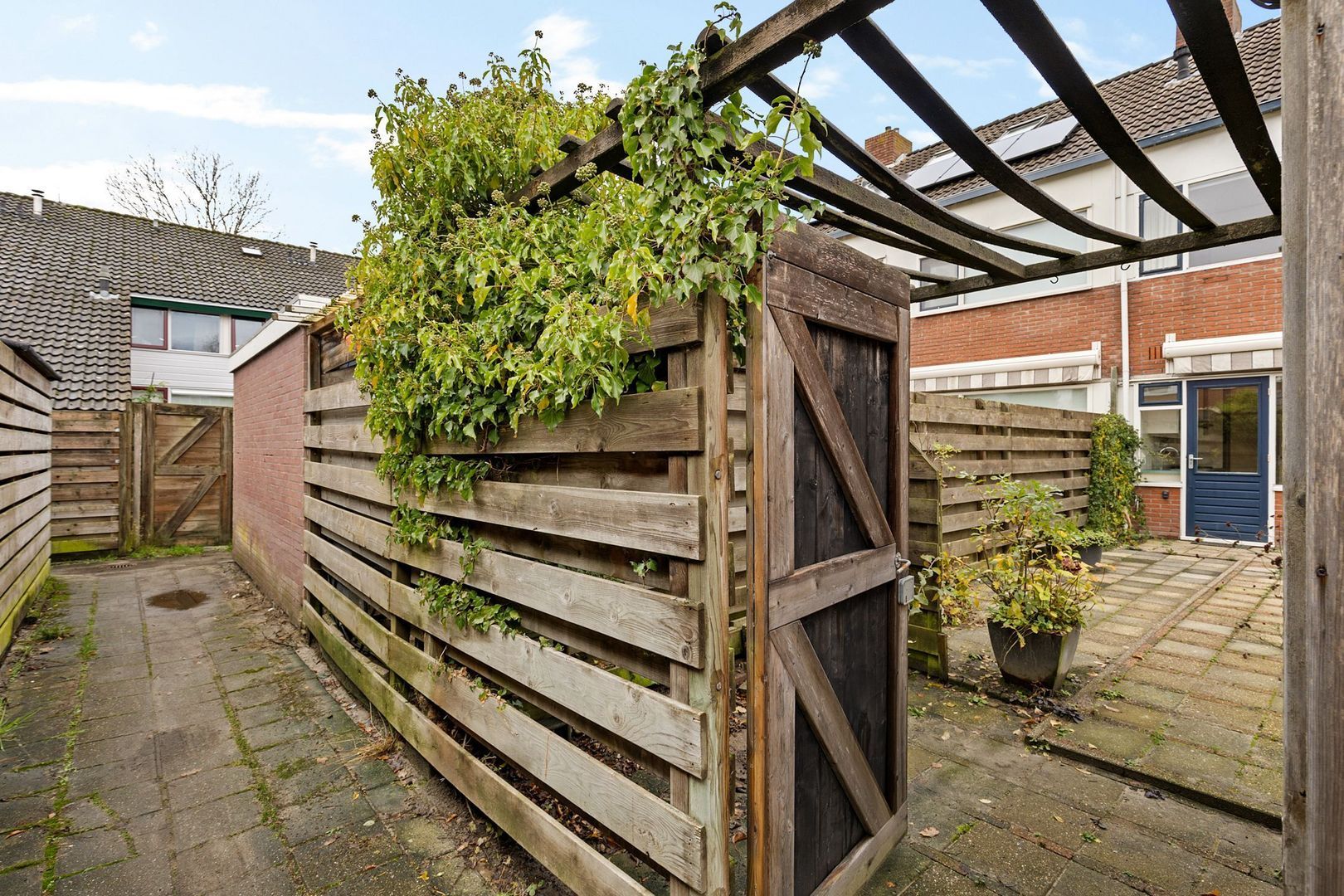 Rietgans 4, Dokkum foto-25