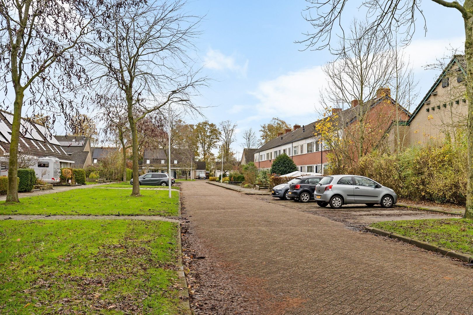 Rietgans 4, Dokkum foto-28