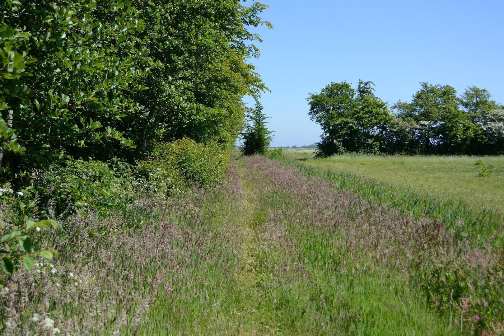 Rijspolder 46, Schiermonnikoog foto-28