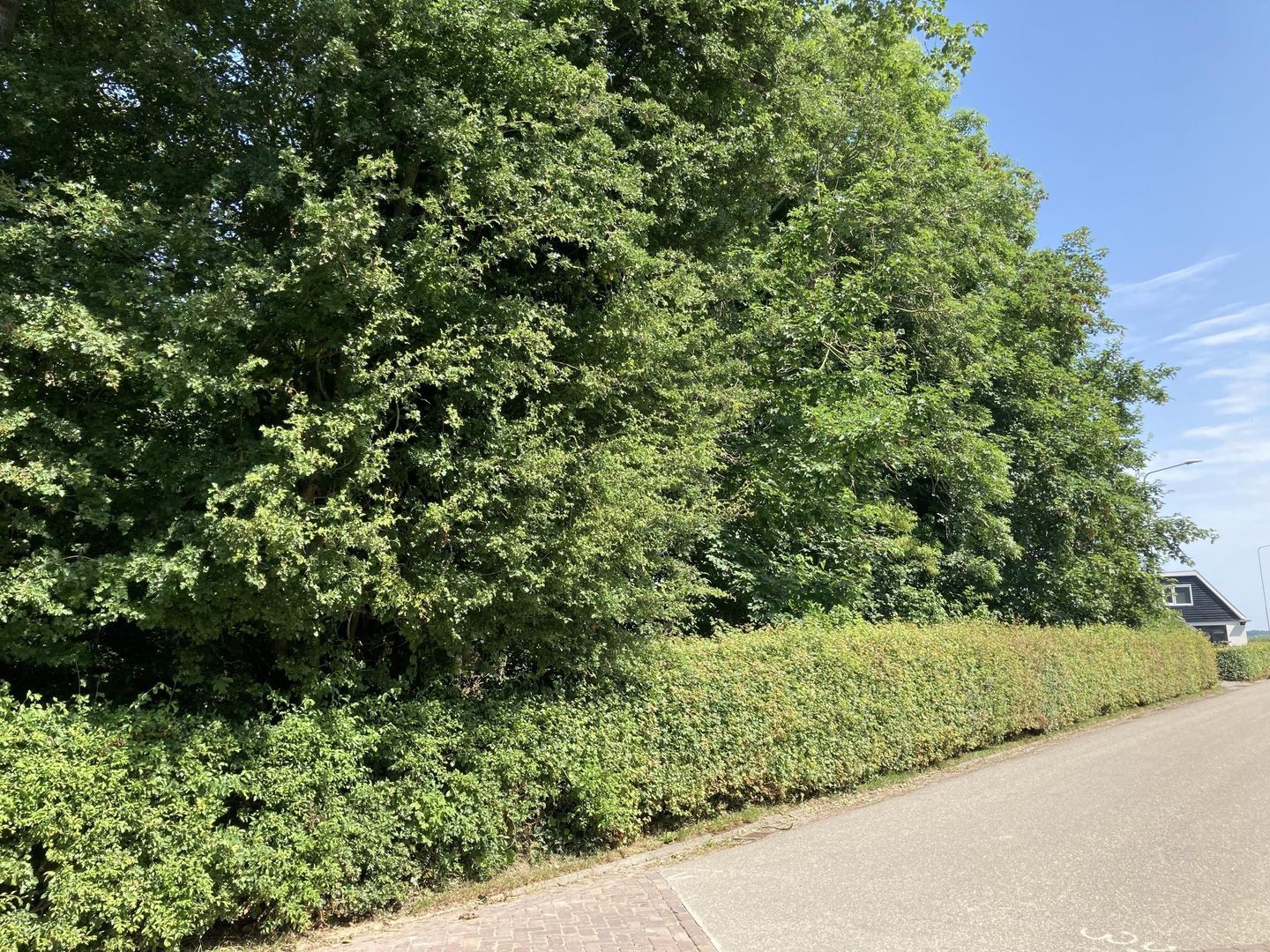 Ald Tún 0 ong, Easternijtsjerk foto-3