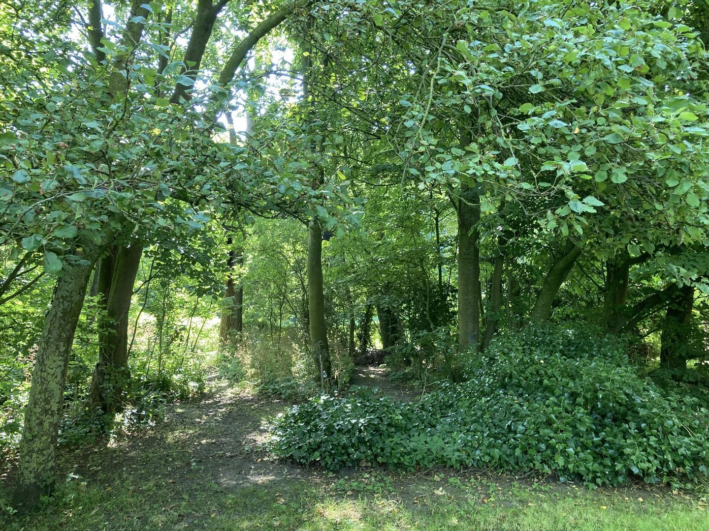 Ald Tún 0 ong, Easternijtsjerk foto-4