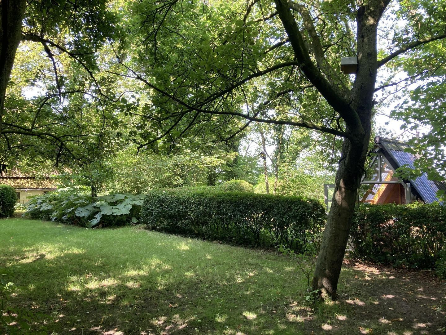 Ald Tún 0 ong, Easternijtsjerk foto-6