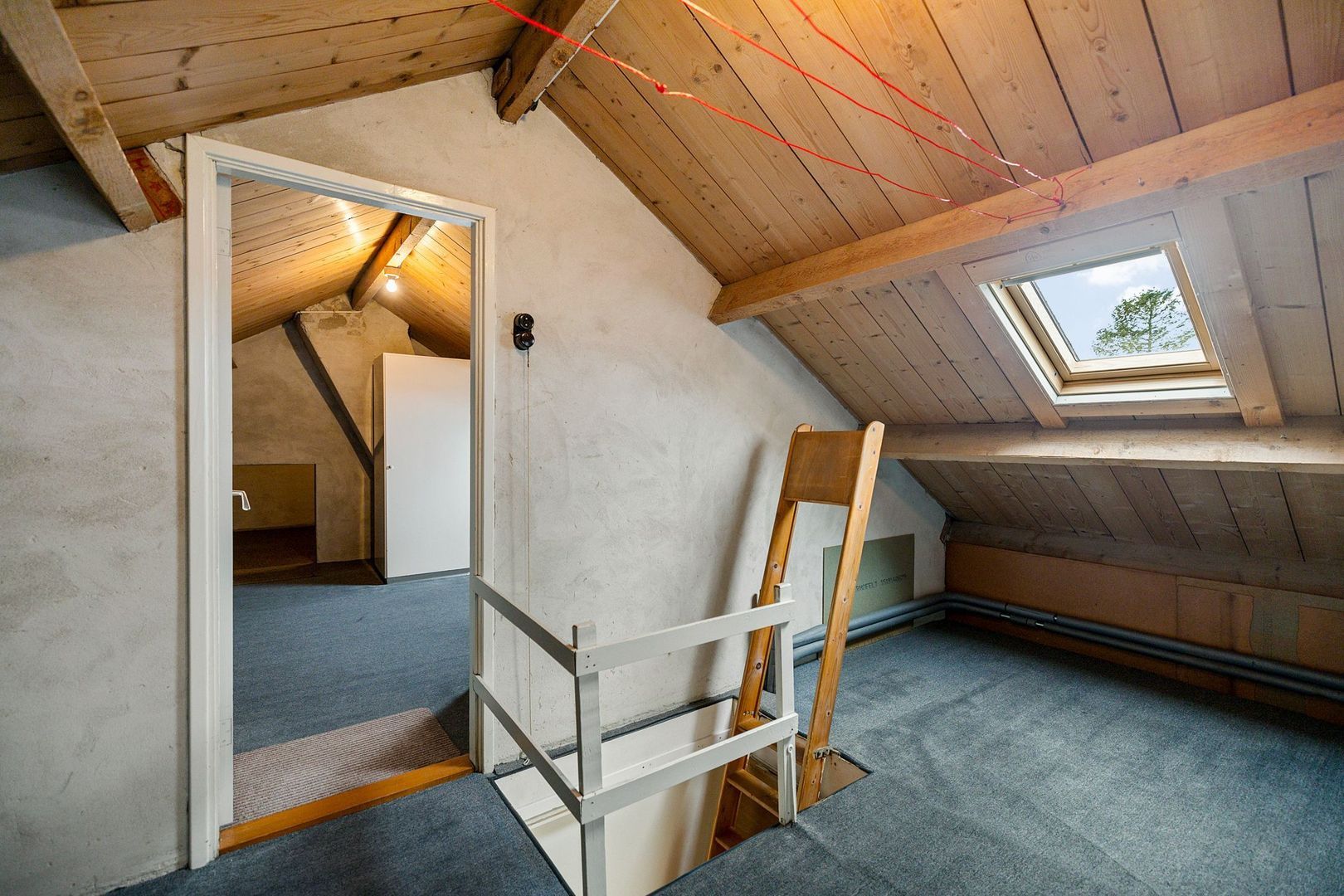 De Halewei 2, Damwâld foto-22