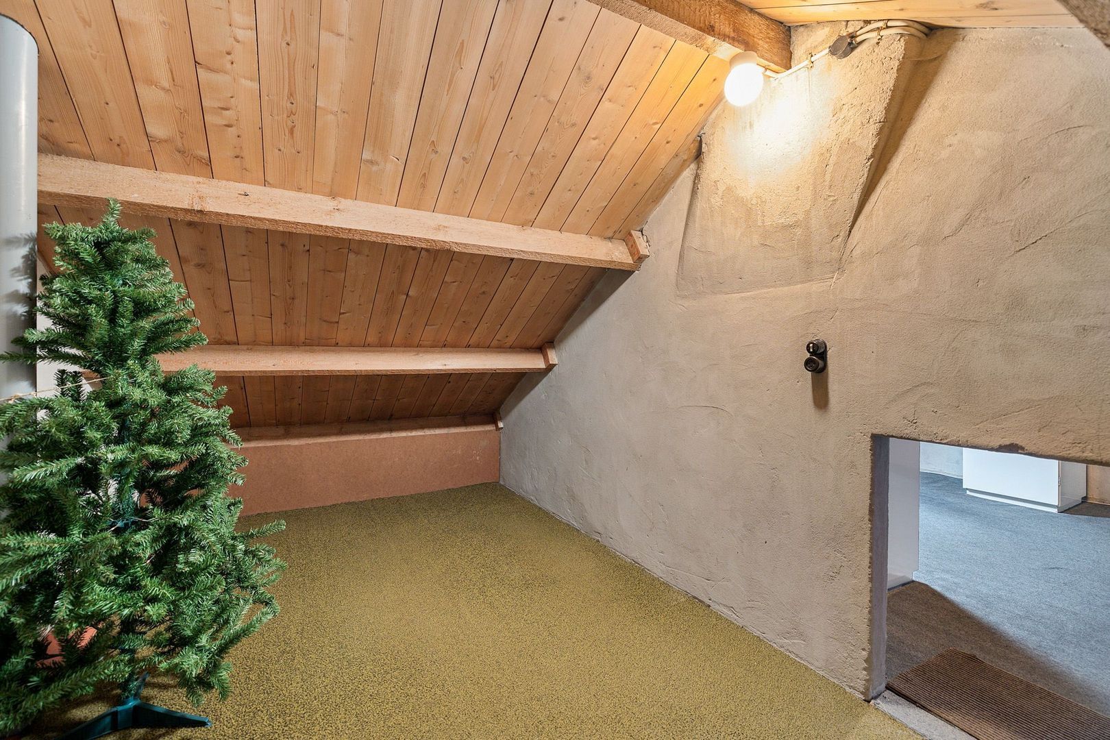 De Halewei 2, Damwâld foto-25