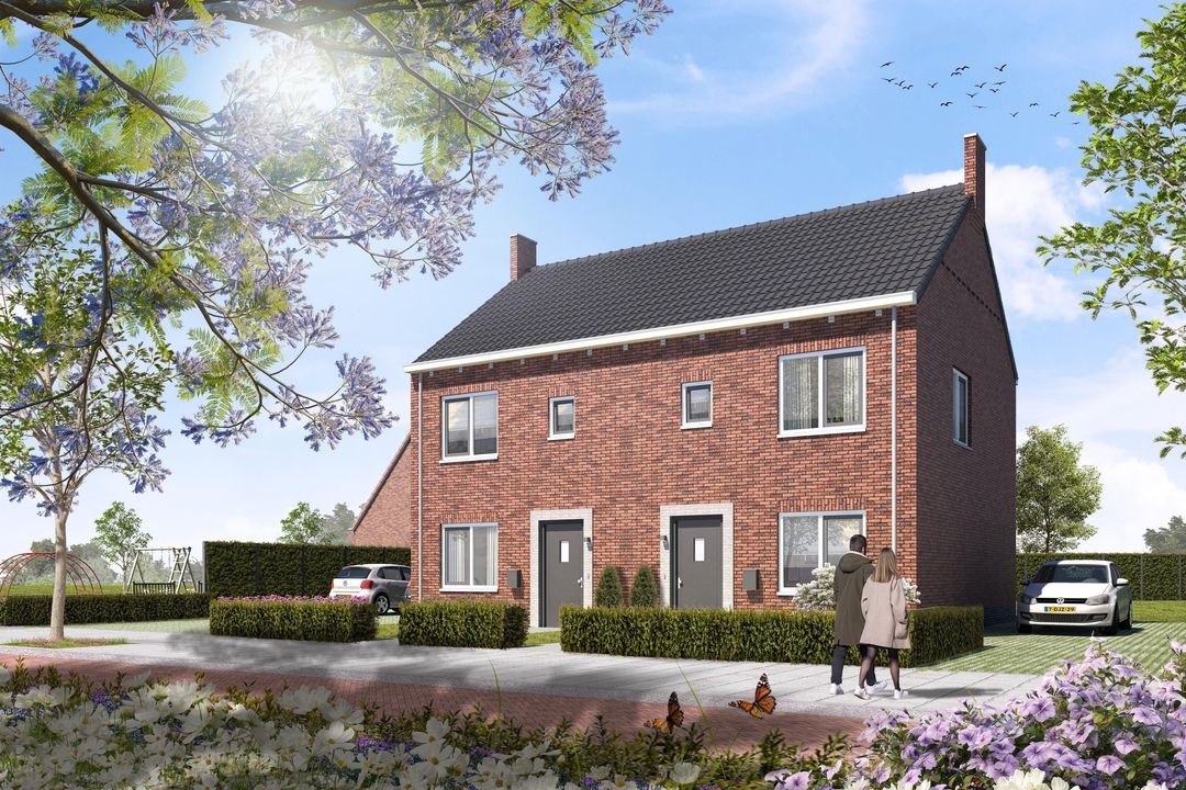 Dorpsweide type B | Túnstrjitte 0 ong, Mitselwier