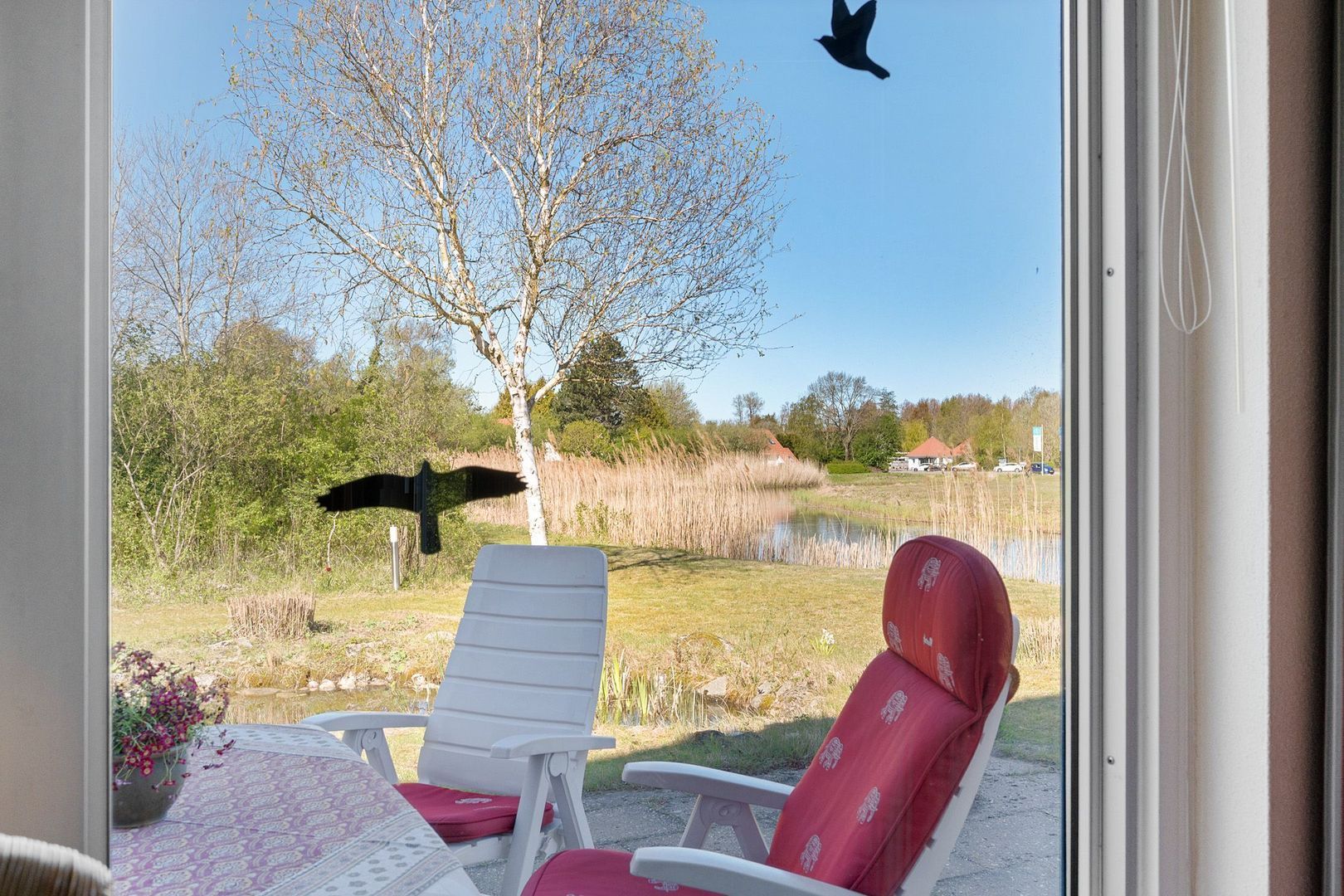 De Rug 3 83, Lauwersoog foto-11